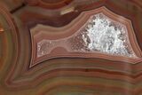 Colorful, Polished Condor Agate - Argentina #277694-1